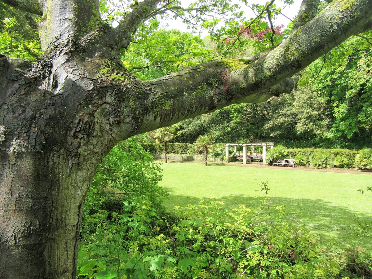 Spring in the Italian Gardens