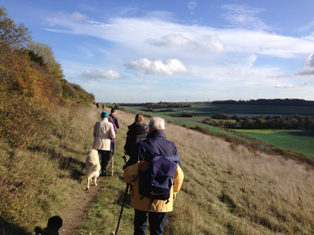 Henley Down in the Autumn