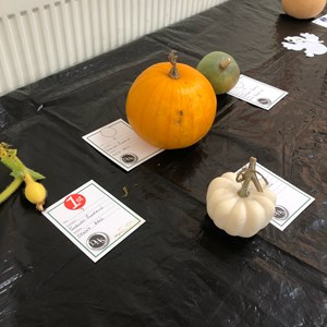 Denmead Horticultural Society 2022