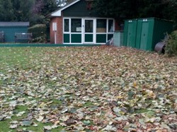 This is what our hard-working grounds team have to deal with...