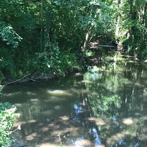 A peaceful river