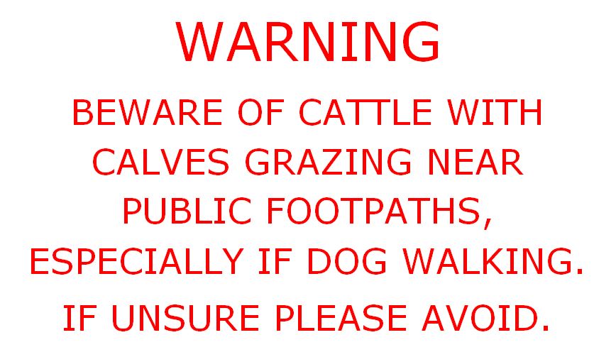 Cattle may be attracted towards people and especially dog walkers at this time of year. Be very careful and if not sure, find a safe route to avoid them.