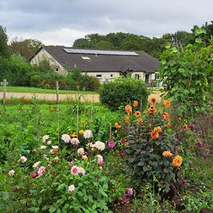 Toller Porcorum Parish Council Home