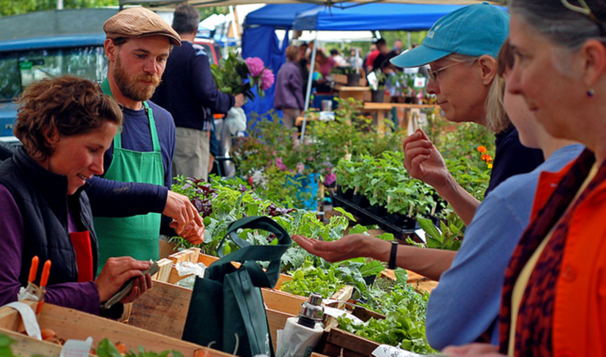Price Comparison, Wolvercote Farmers' Market Price Comparison, Wolvercote Farmers' Market