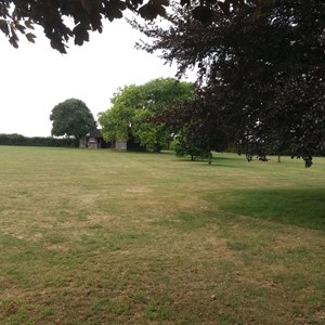 The playing fields