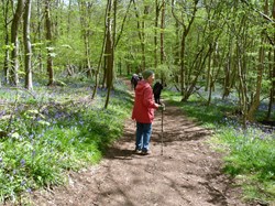 Luddesdown & District Rights of Way Group Walking in Luddesdown