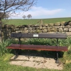 Bishop Thornton, Shaw Mills & Warsill PC Bench Day and Cleanup - 24 April 2020