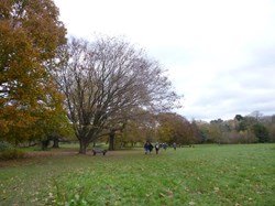 Luddesdown & District Rights of Way Group Walking in Luddesdown