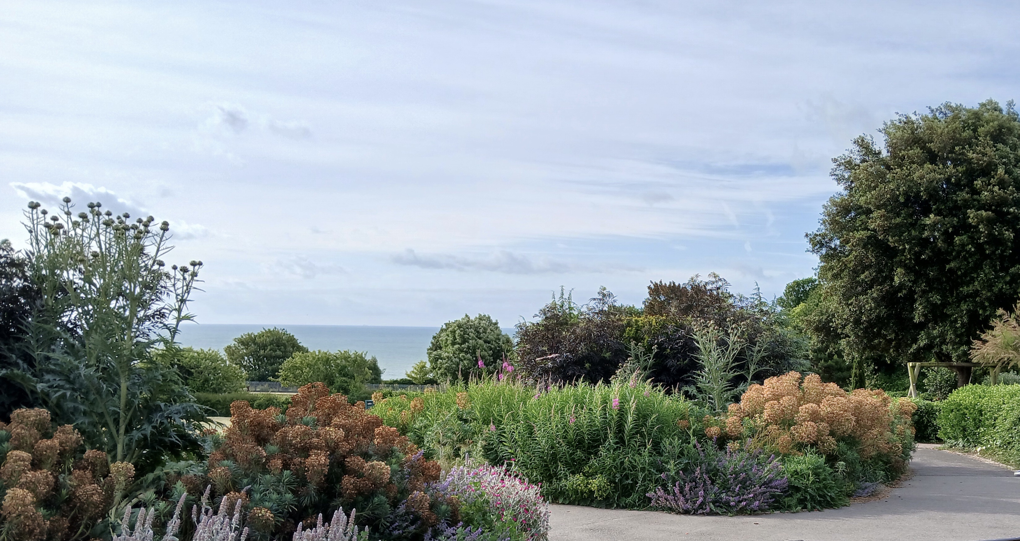 Helen Garden view in June Helen Garden view in June