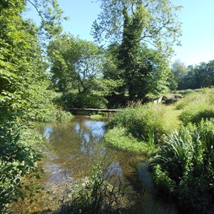 The River Meon