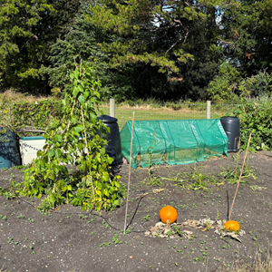 Plot 45 A
