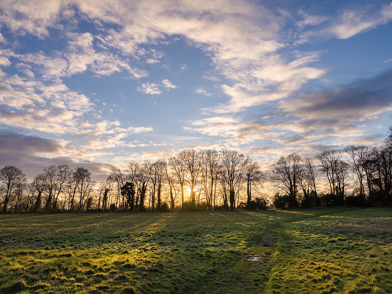 Stadhampton Sunset