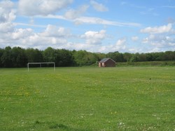 The Football Pitch