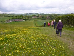 Luddesdown & District Rights of Way Group Walking in Luddesdown