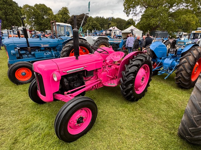 Picture of the Week -Not a Common Colour for a Tractor-Newby Hall Tractorfest. Picture by Anne Higgins. Picture of the Week -Not a Common Colour for a Tractor-Newby Hall Tractorfest. Picture by Anne Higgins.
