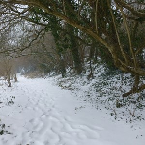The Allington Hillbillies Snow March 2018