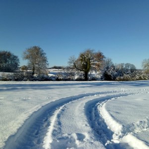 11. Snow tracks