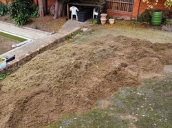 First day of scarifying, loads of thatch to be sieved.