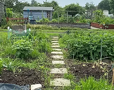 Allotments Allotments