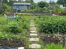 Allotments Allotments