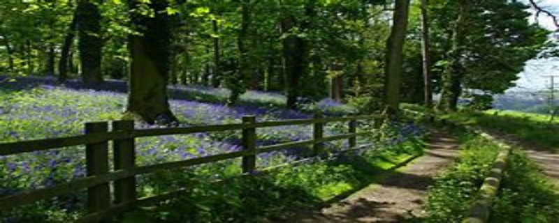 Portsmouth HF Rambling Club Club News Portsmouth HF Rambling Club Club News