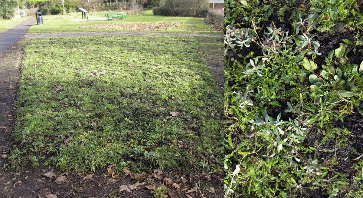 Queens Road site - 7 Feb 2017 Queens Road site - 7 Feb 2017