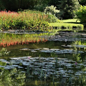 Longstock Water Gardens