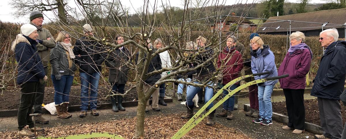 Fruit tree pruning course at Chapel Farm