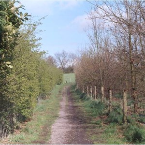Greenhalgh Lane