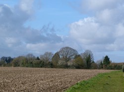 Luddesdown & District Rights of Way Group Walking in Luddesdown