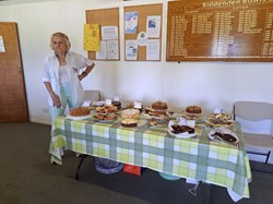 Biddenden Bowls Club Ladies  Tournament 2024