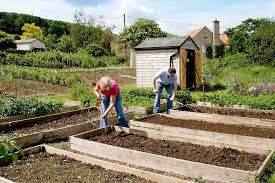 Twywell Parish Council Twywell Allotments Twywell Parish Council Twywell Allotments