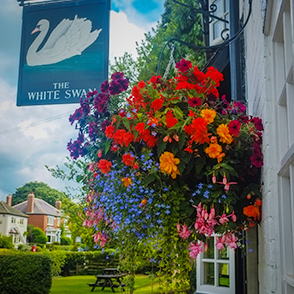 Beautiful flowers in bloom at The WHite Swan.