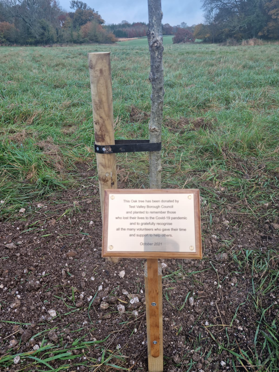 Memorial Tree plaque