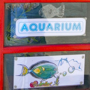Ladbroke Heritage Phonebox Aquarium