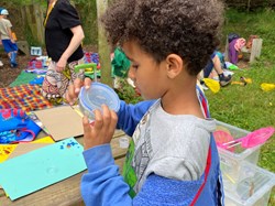 Insect Survey, Nature Club.