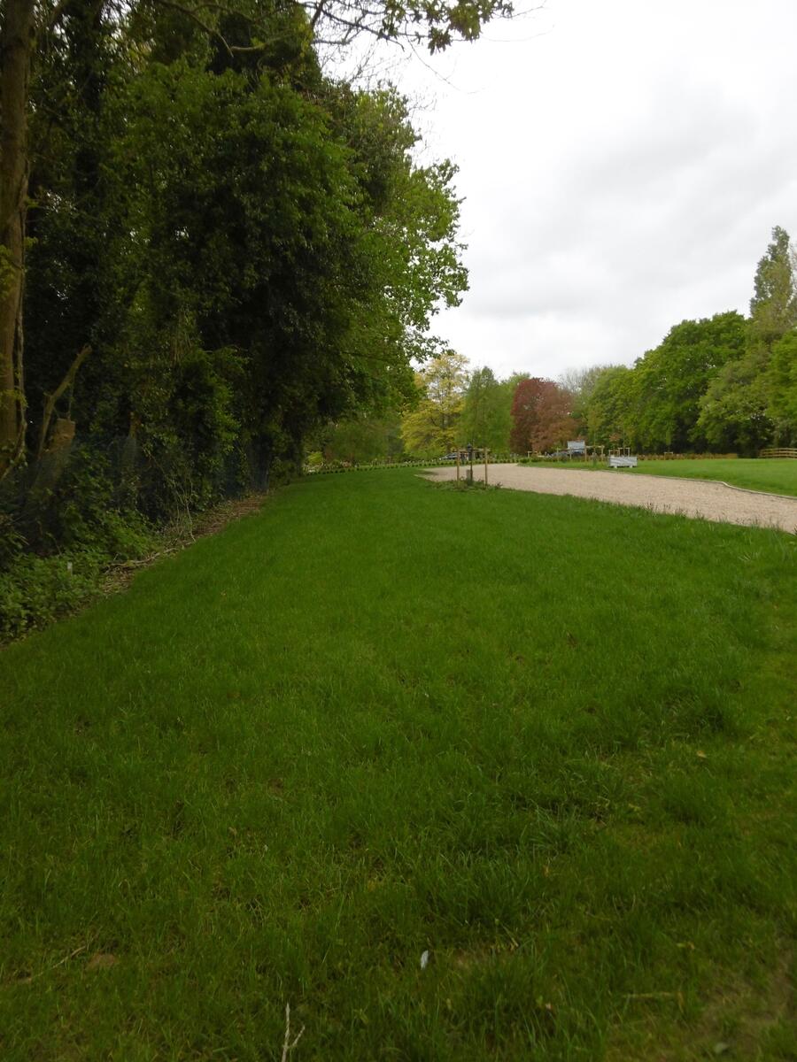 Traditional ashes plots will be sited adjacent to the driveway Traditional ashes plots will be sited adjacent to the driveway