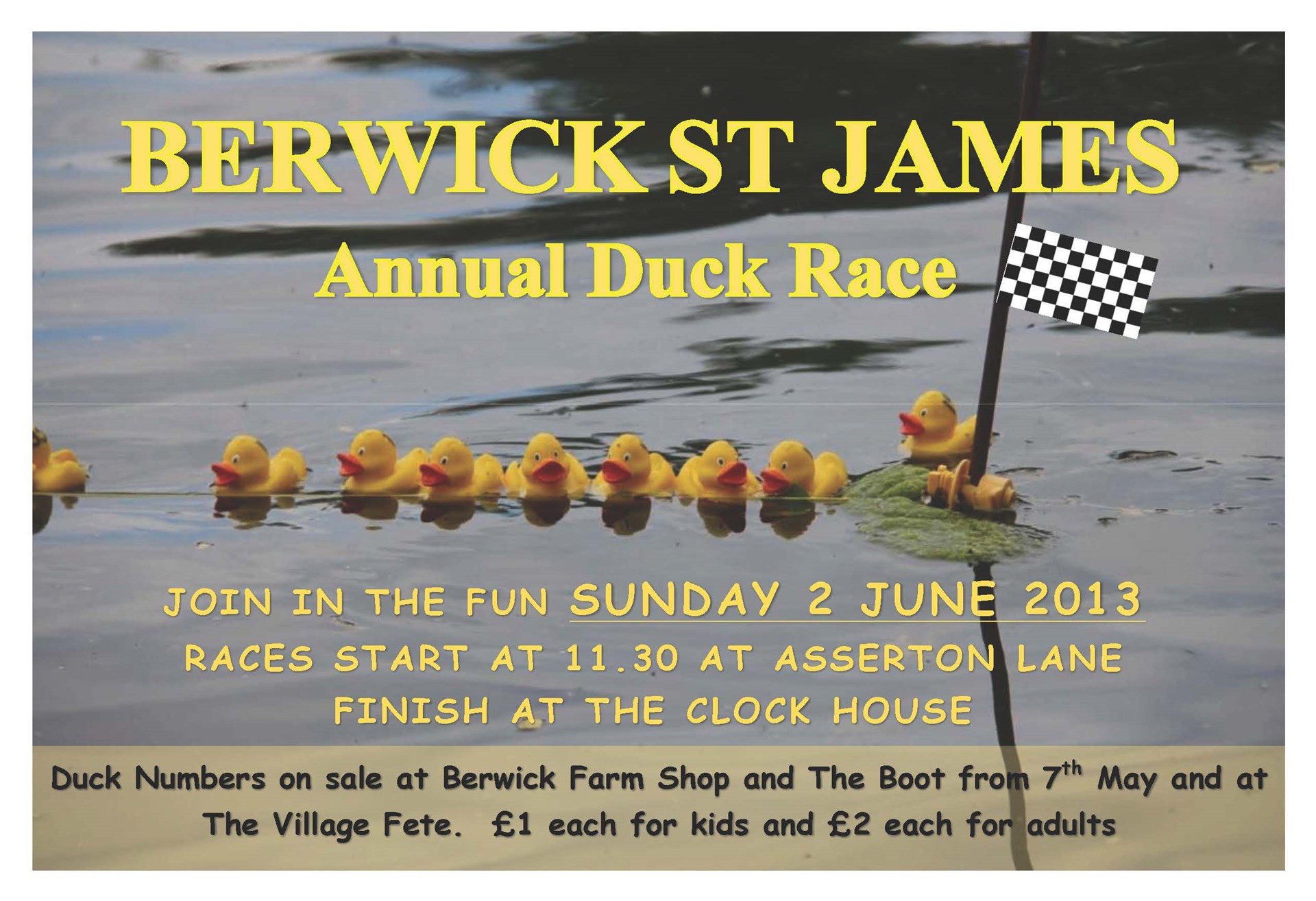 Berwick St James Parish Berwick Fete & Duck Race 2013