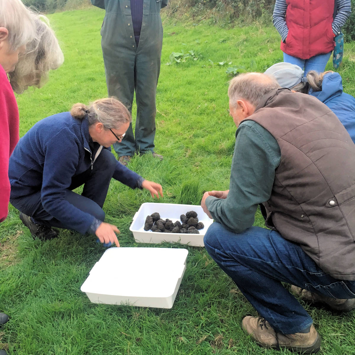 An animal health event for farmers/landowners looking at dung beetles