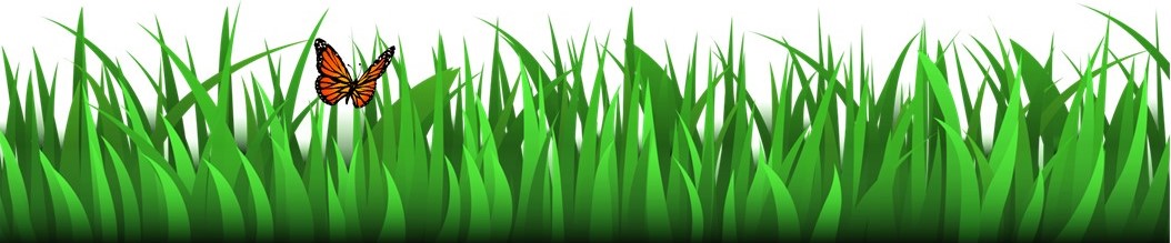 Buckfastleigh Bowling Club Green Status