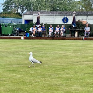 Sir Thomas Rich's Bowling Club Club Triples Day 2025