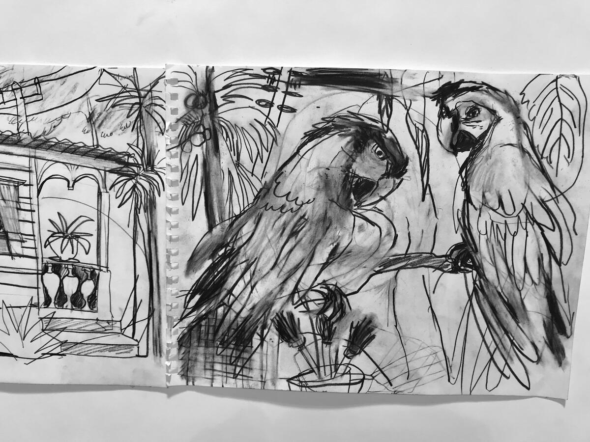 Macaws & studio. Sketchbook series 2018 Macaws & studio. Sketchbook series 2018
