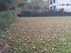 Twyford Bowls Club, Hampshire Home