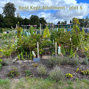 Plot 5 best kept allotment