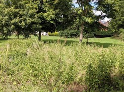 Up Hatherley Parish Council Parks and Green Spaces