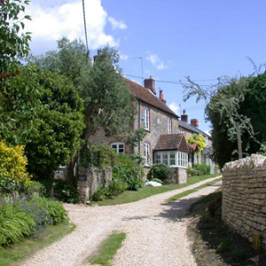 Blenheim Lane