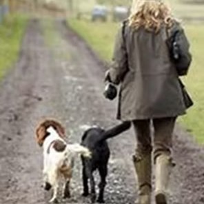 Woman walking dogs Woman walking dogs
