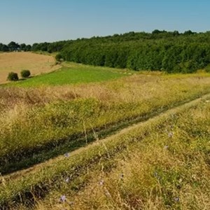 Countryside Countryside