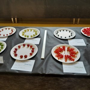 Kingswood Walton & Tadworth Horticultural Society Shows