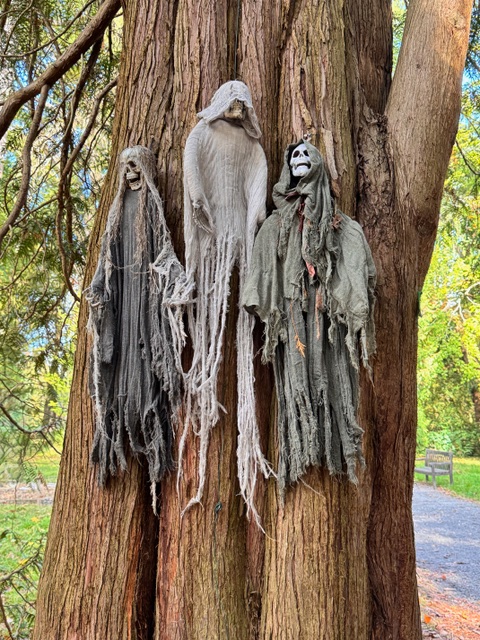 Spooky! Spooky!